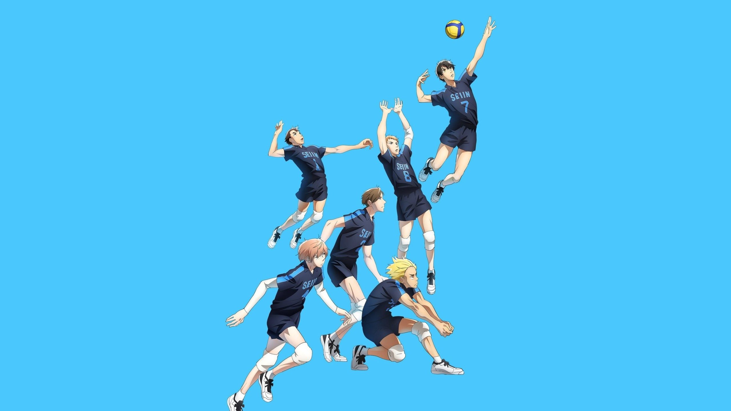 2.43 Seiin Koukou Danshi Volley-bu