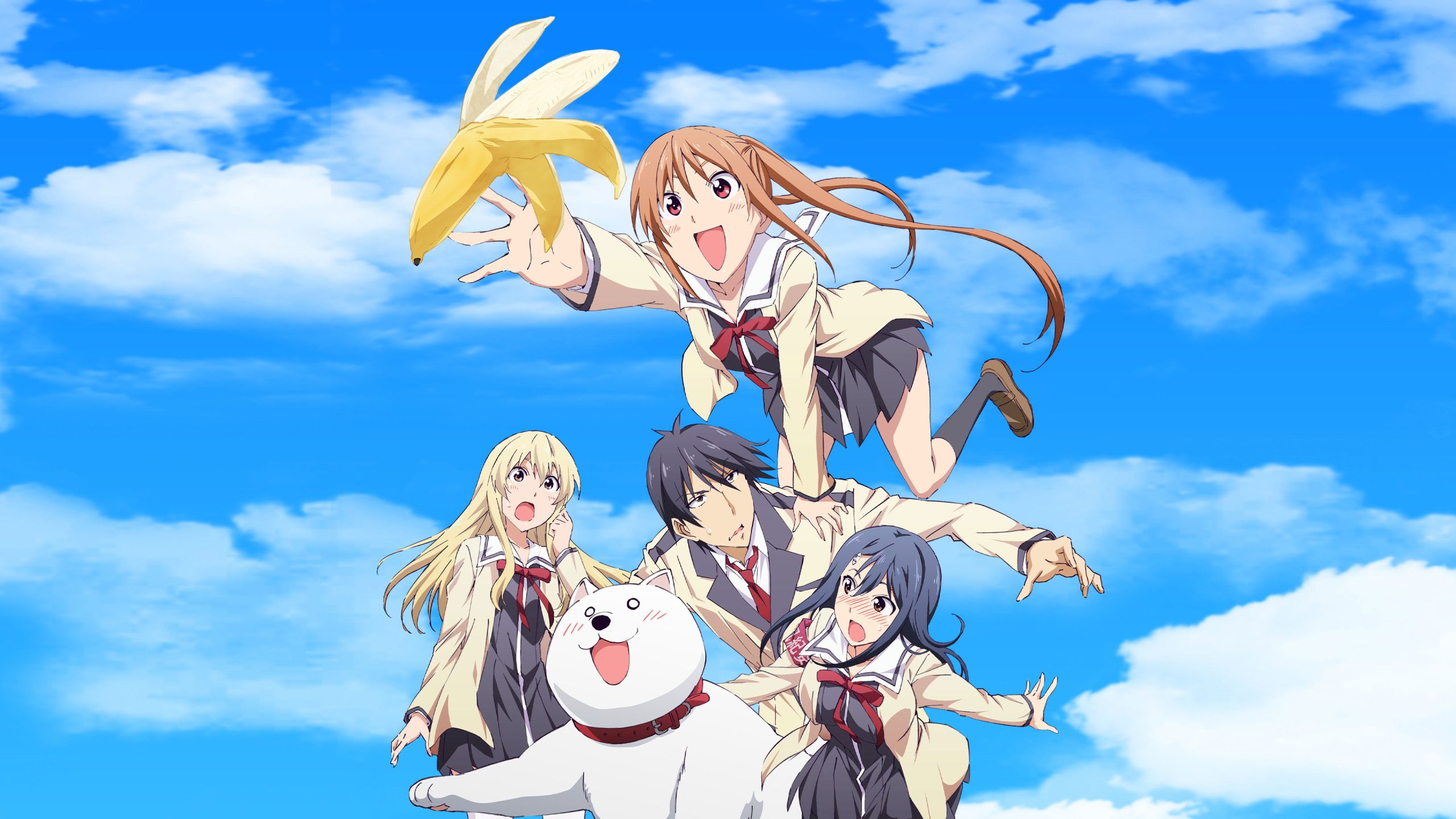 Aho Girl