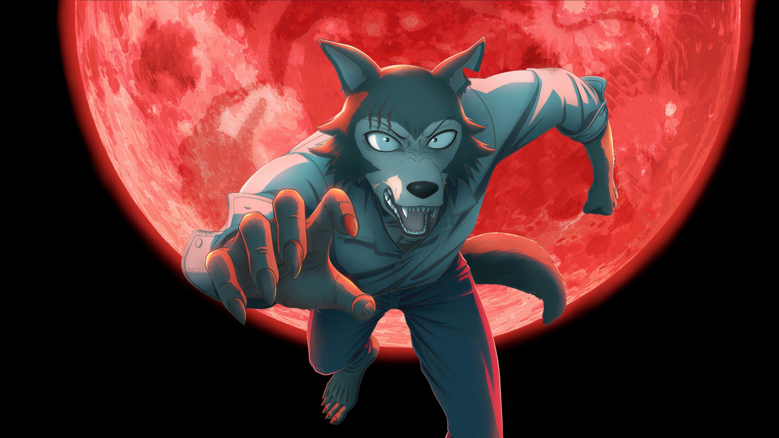 Beastars Saison 3 Partie 2