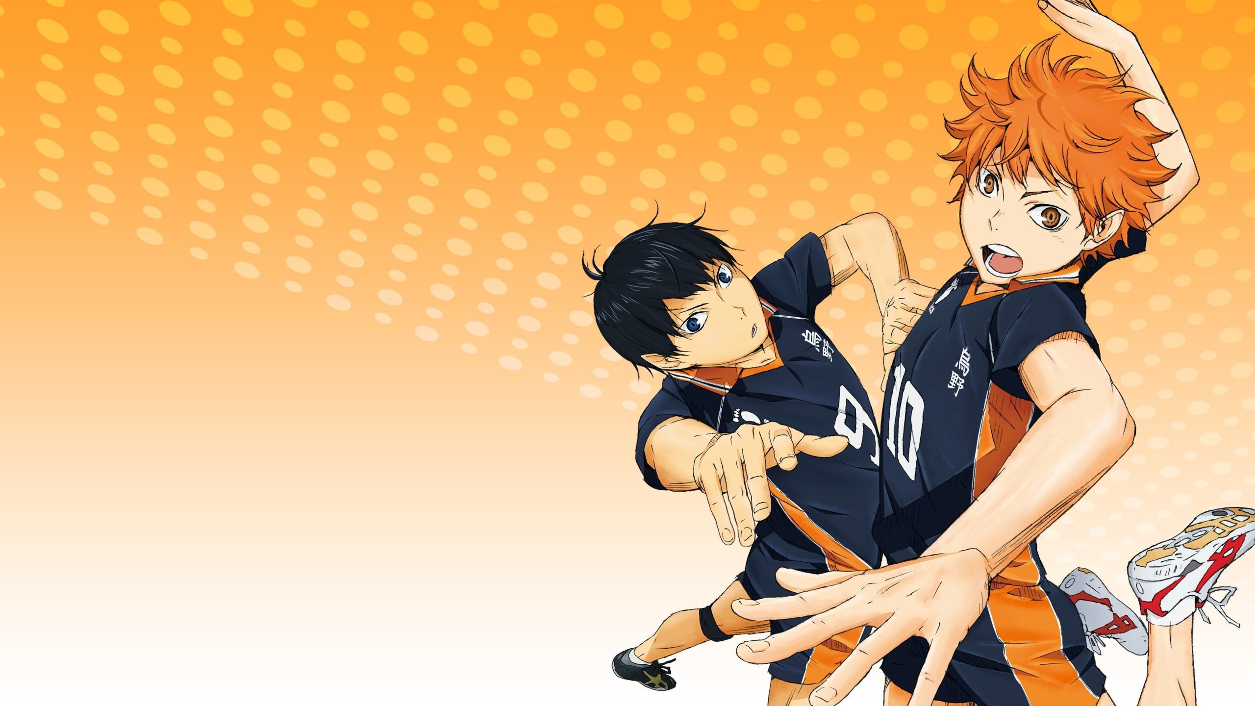 Haikyuu Saison 1